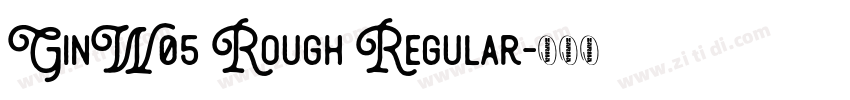 GinW05 Rough Regular字体转换